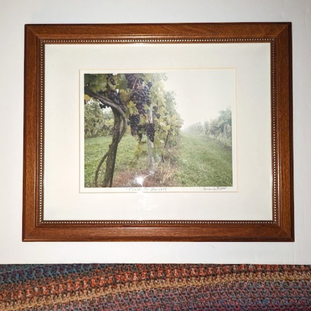 Time For Harvest Brian Keith Piper Framed Photo Grapes Vineyard Signed 16.5x13x1